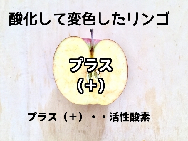 プラスの電力を持った活性酸素を帯びて変色したリンゴ